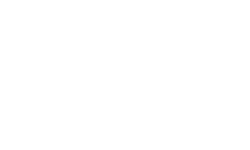 Logo Camil