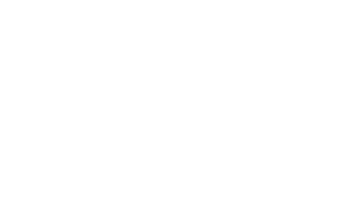 Logo Pin People